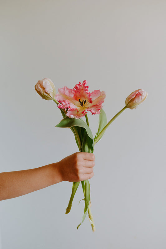 Spring Subscription